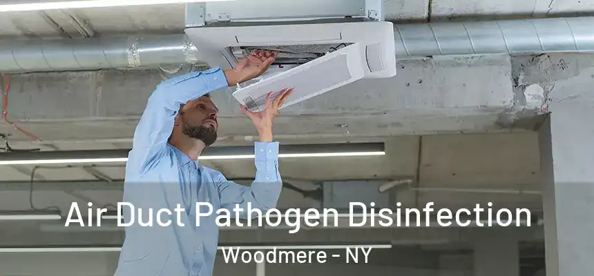  Air Duct Pathogen Disinfection Woodmere - NY