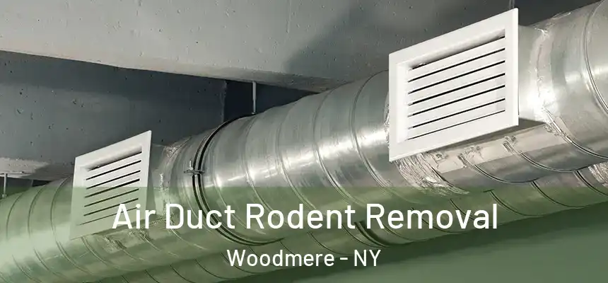  Air Duct Rodent Removal Woodmere - NY