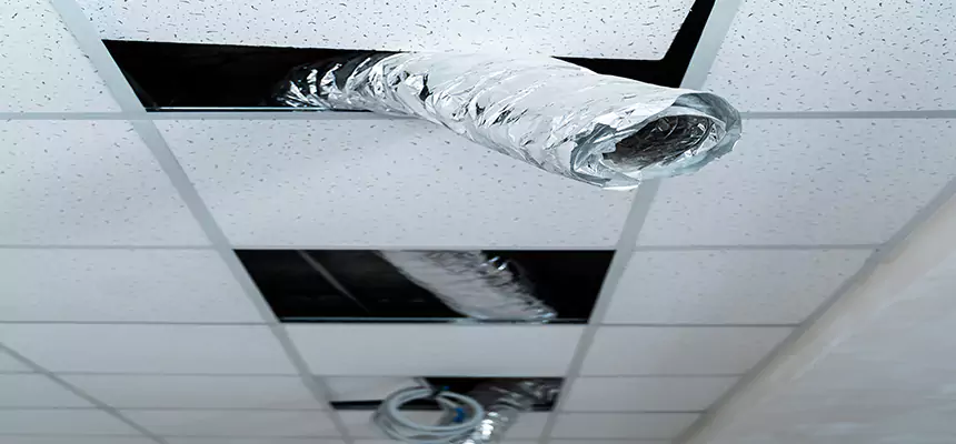 Our Air Duct Pet Hair Removal Services in Woodmere, NY