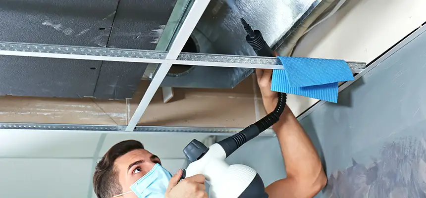 Our Air Duct Rodent Removal Services in Woodmere, NY