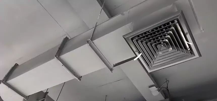 Our Pest Removal From Ducts Services in Woodmere, NY