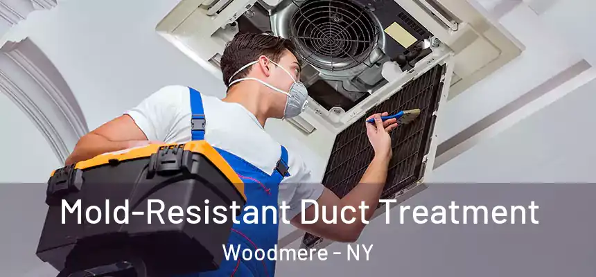  Mold-Resistant Duct Treatment Woodmere - NY