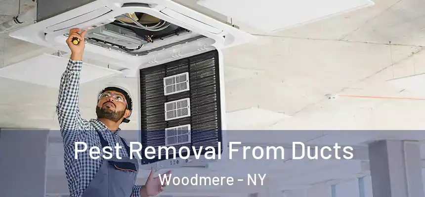  Pest Removal From Ducts Woodmere - NY