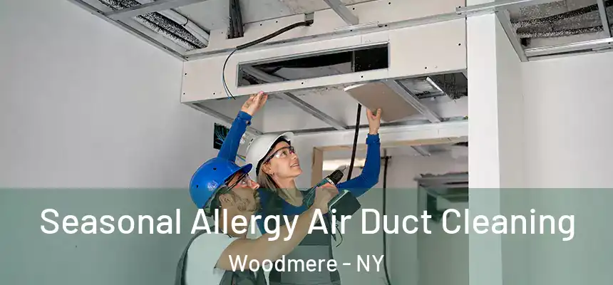  Seasonal Allergy Air Duct Cleaning Woodmere - NY