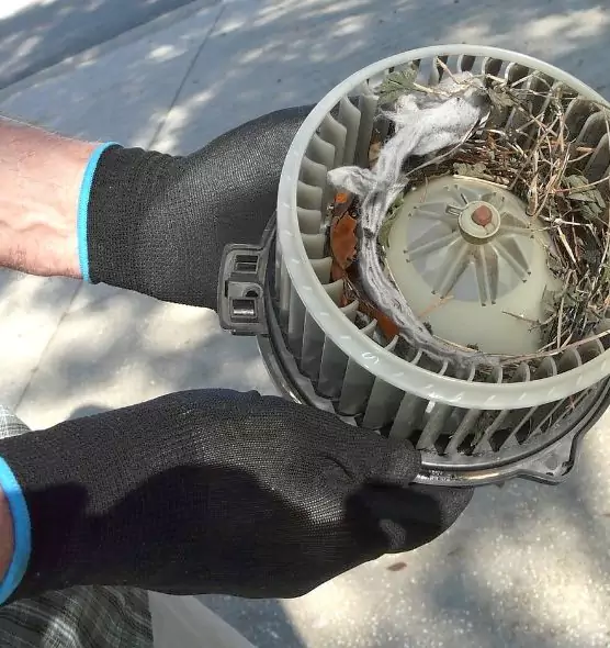 About Air Duct Mice Removal in Woodmere, NY