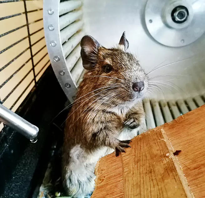 Why Homeowners & Businesses Trust Us Woodmere, NY