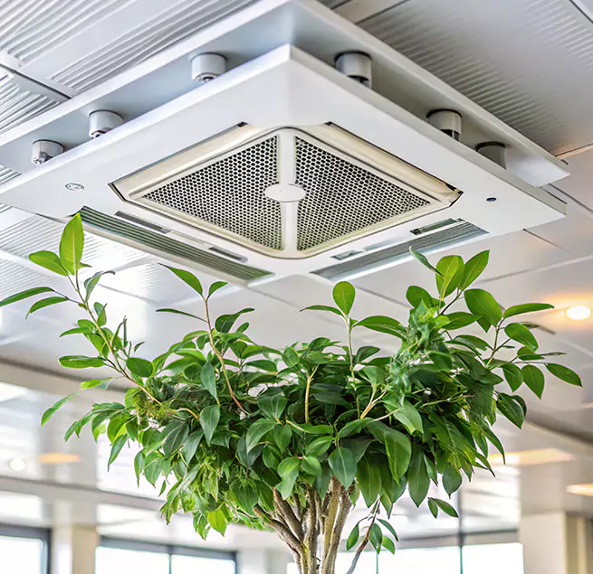 Why Homeowners & Businesses Trust Us in Woodmere, NY?